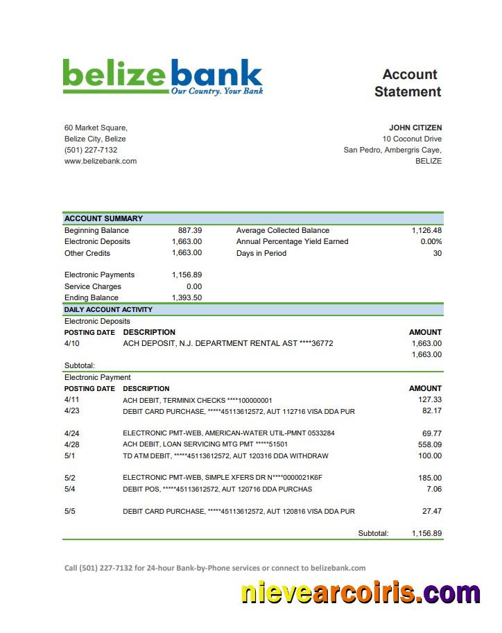 Belize Belizebank bank statement easy to fill in .xls and .pdf file format